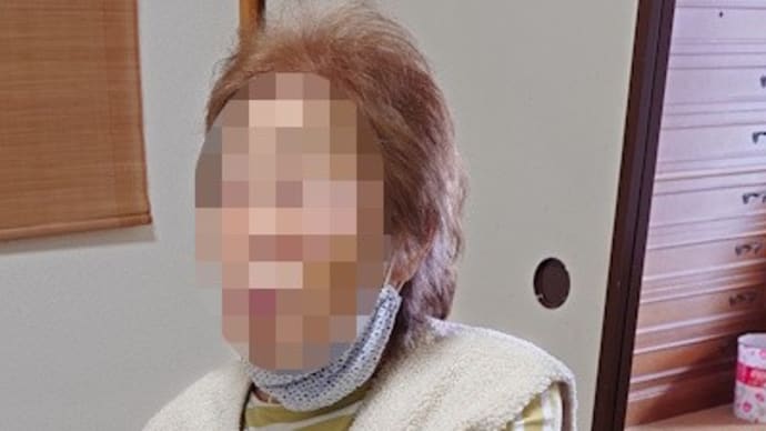 母の脳みそが地味に退化している