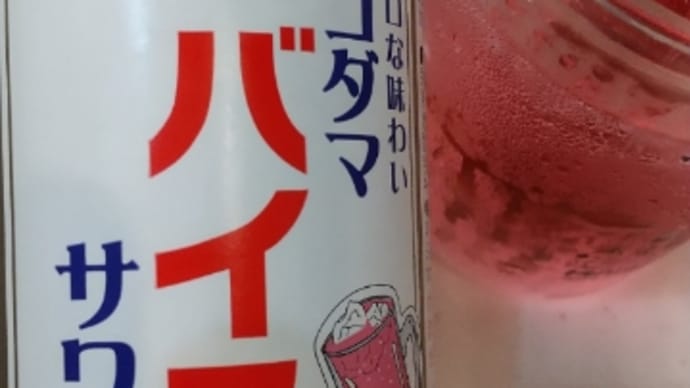 Sorry バイスサワーinすもも サワー🍺(´д`メ)
