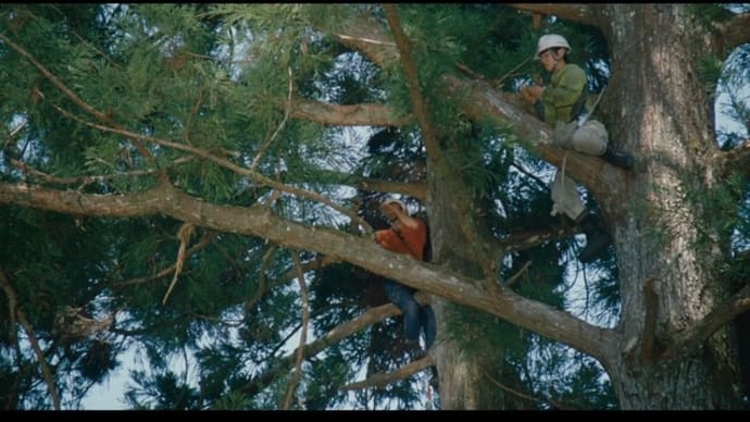 WOOD JOB!〜神去なあなあ日常〜（蝮の蒲焼）　－　映画に出てくる食事の場面（36）