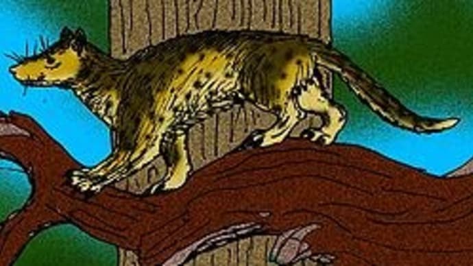 怪獣に変身