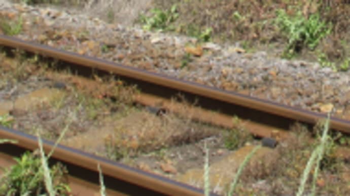 線路は続くよ