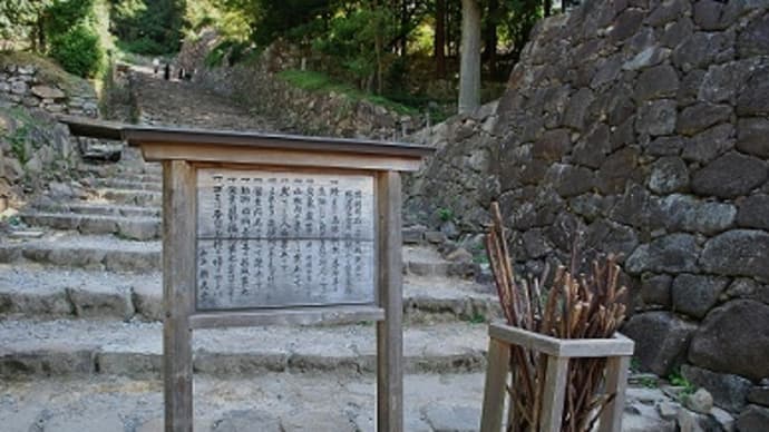 つぶやき#1473 安土城跡・大手道