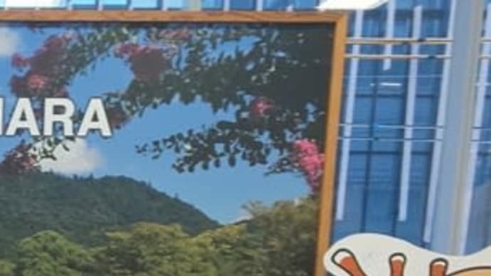 紀行道中 4 鹿の楽園 奈良