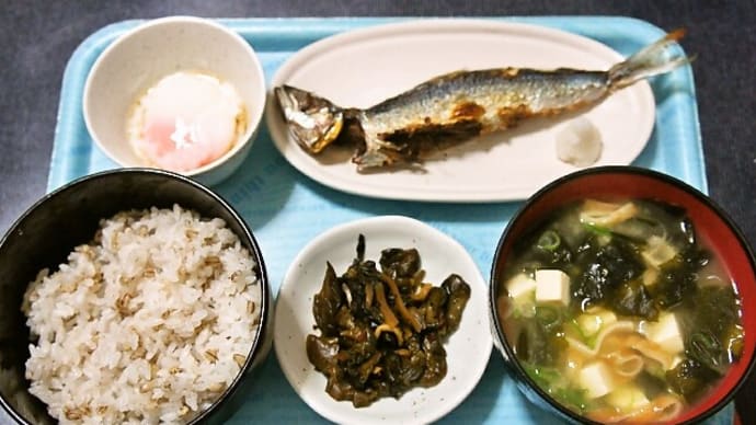 家で焼魚定食(イワシの塩焼き他)(2019年8月11日)