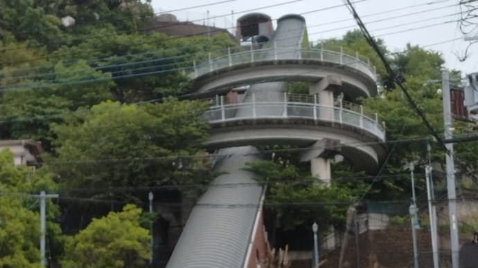 容疑と衝撃とワタシ