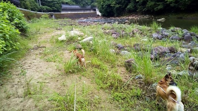 夏休み2022・8日~9日目 御杖へ