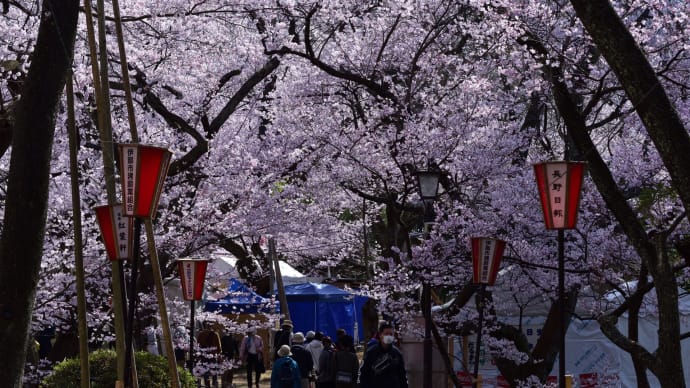 天下第一桜 ~高遠城址公園~