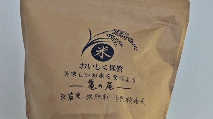 加藤淳さんの今月の入荷 第二弾 どんぶり と とんすい