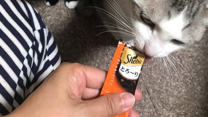 シーバタイム!