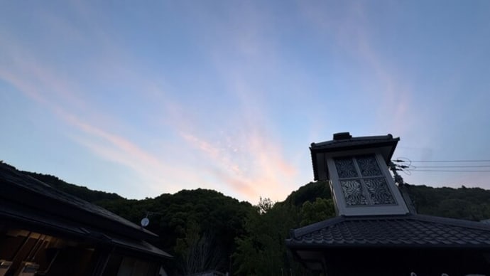 今日の別邸わんこ日和 5月5日