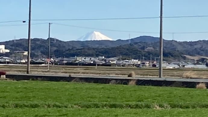静岡マラソンまであと1週間