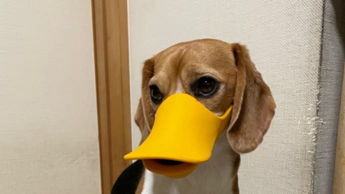 絶対阻止