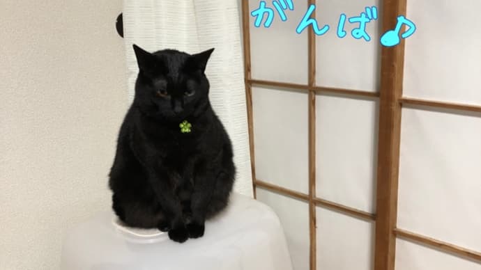 トイレの上から応援