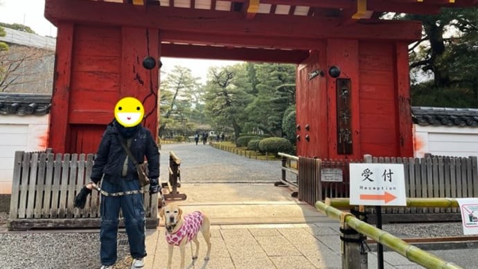 犬と行ける平等院