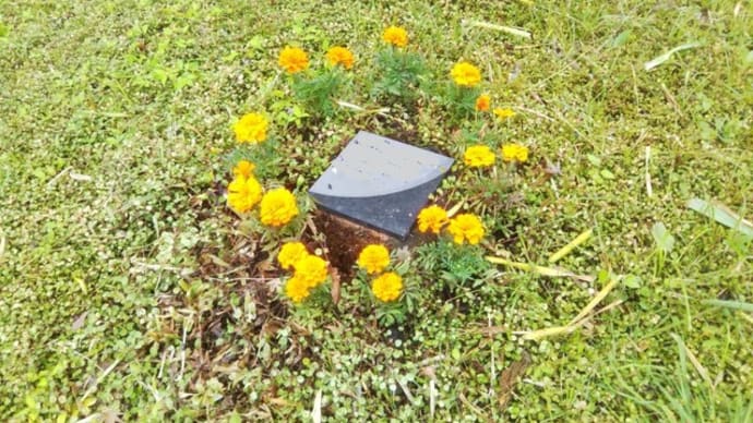 6月になりましたね♪