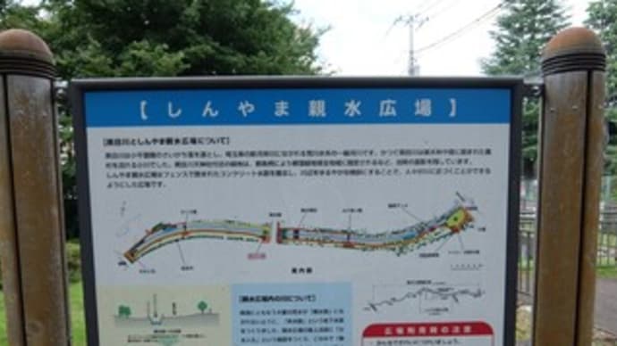 20023東京河川ポタリング『黒目川』⑥しんやま親水広場