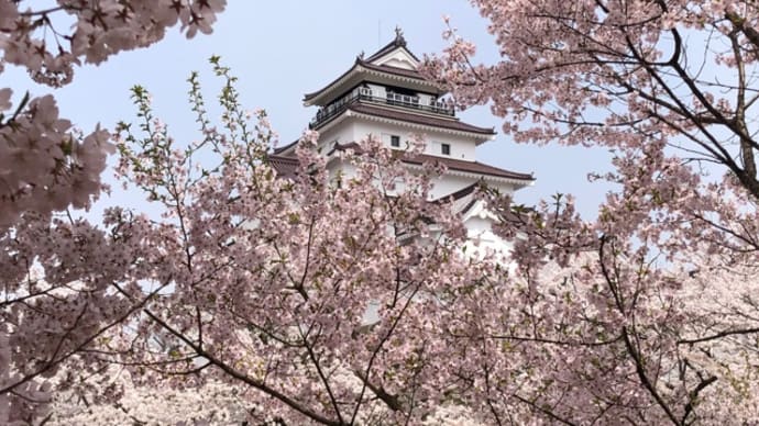 桜の写真(^^)