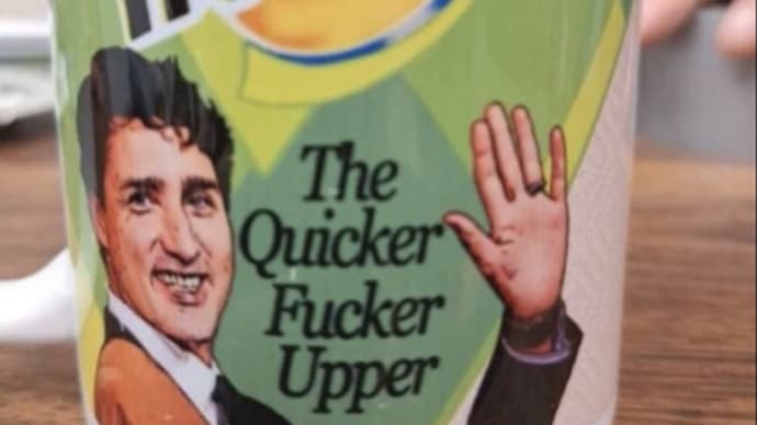 Turdeau, The Quicker Fucker Upper Can't Pick Up Shit. 😀😃😄😁😆😅😂🤣😈🤡💩🚽🧻♼🇨🇦