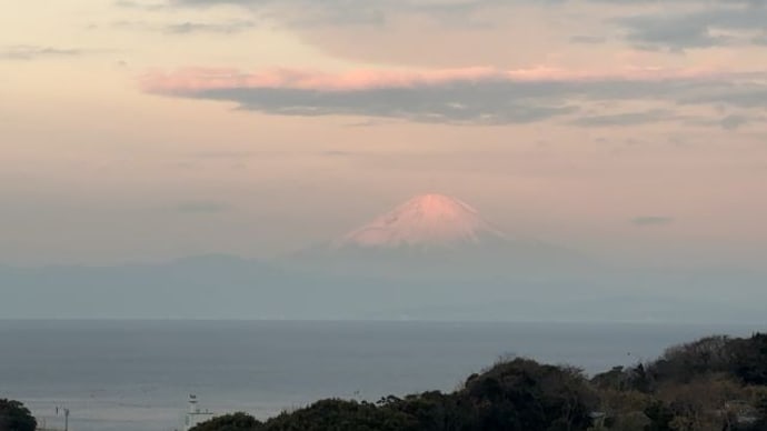曇天で期待していなかったのに見えた富士