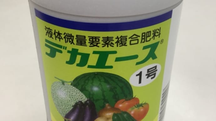 昨日も菜園メンテナンスご訪問❣️すると農家様香川県産【菜花】準備に…日没まで、そして