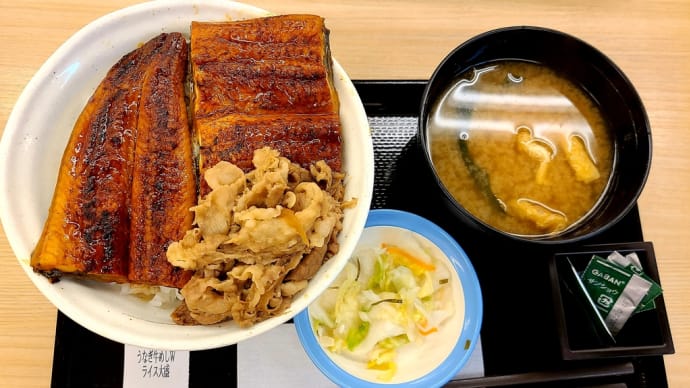 松屋 うなぎコンボ牛めし Wライス大盛
