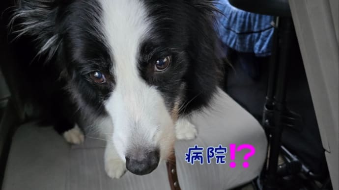 健康診断2024秋