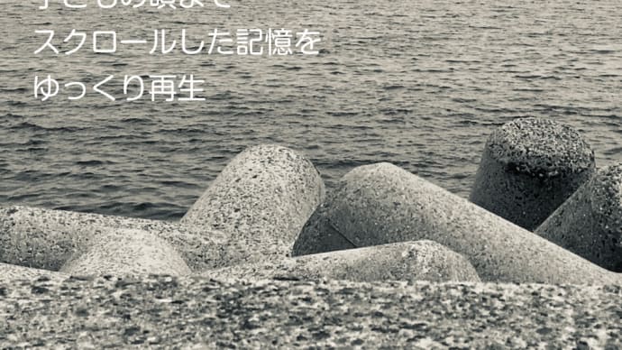 記憶再生 / ラグの写真詩