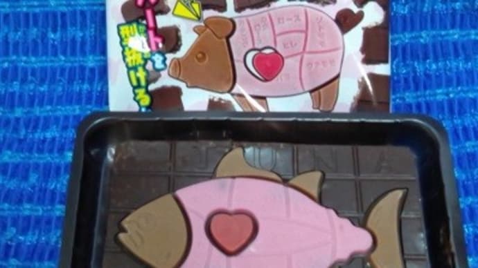 バンダイ・日本食材/解体図鑑チョコ(マグロ)で今朝はスタートなんだね:P