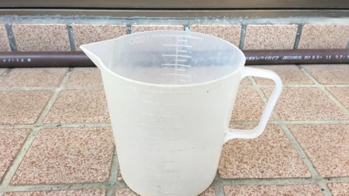 今日は立春