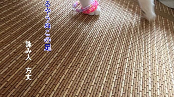 戻り梅雨ですね!?