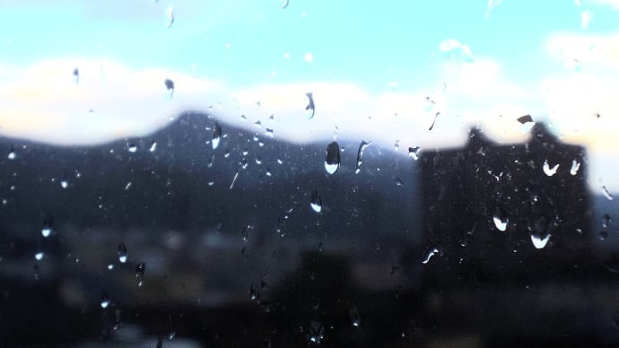 裏山に初冠雪 色彩が乏しくなった森の中