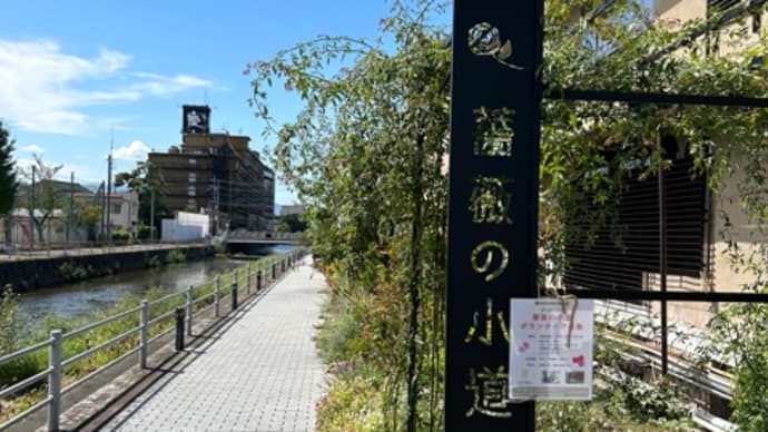 秋本番に