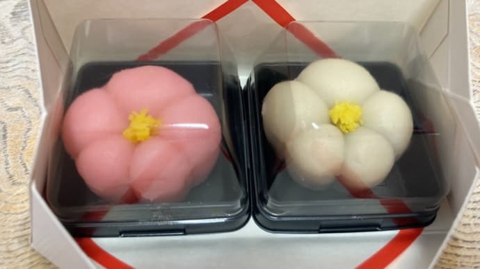 祝 敬老の日