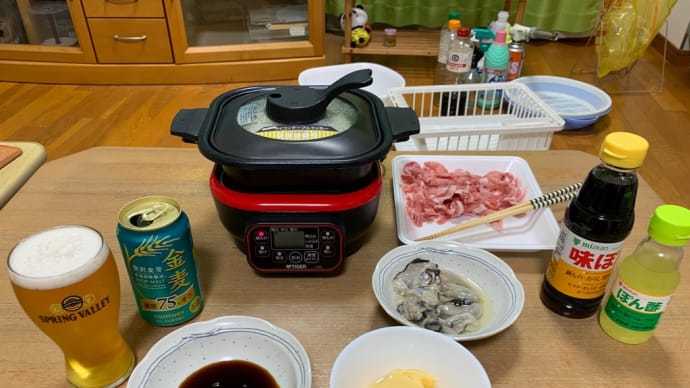 久しぶりに常夜鍋