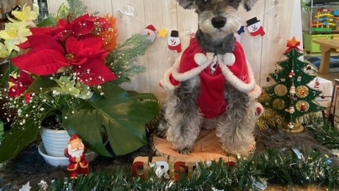 Merry Xmas