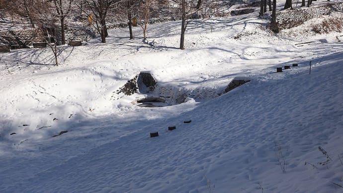 ★牛伏川の雪景色と鹿の足跡　2022