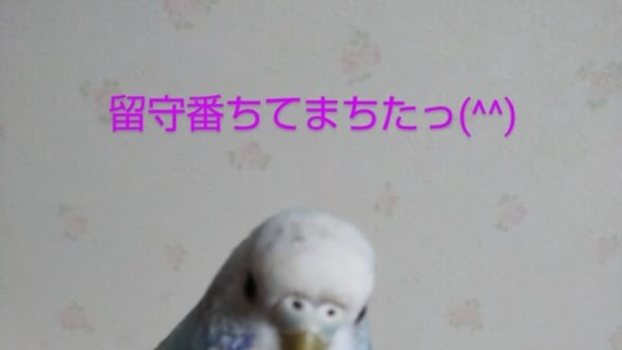 旅行支援使わせて頂きました(^-^)/