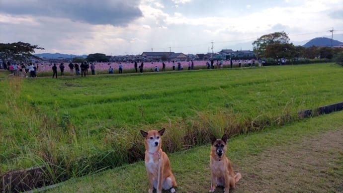 おやつのある時~♪ない時~!