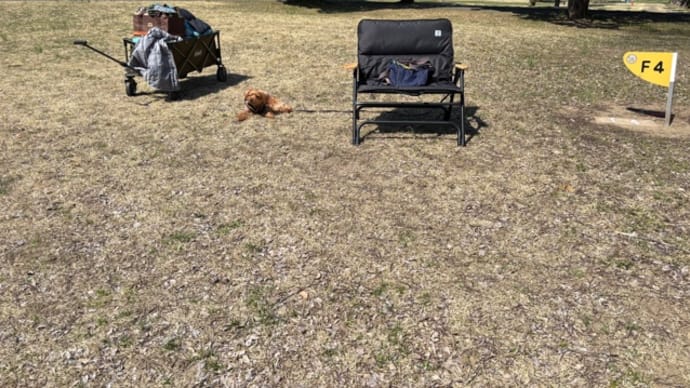 秋ヶ瀬BBQ