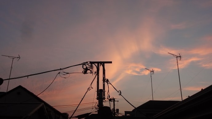 7月30日夕空