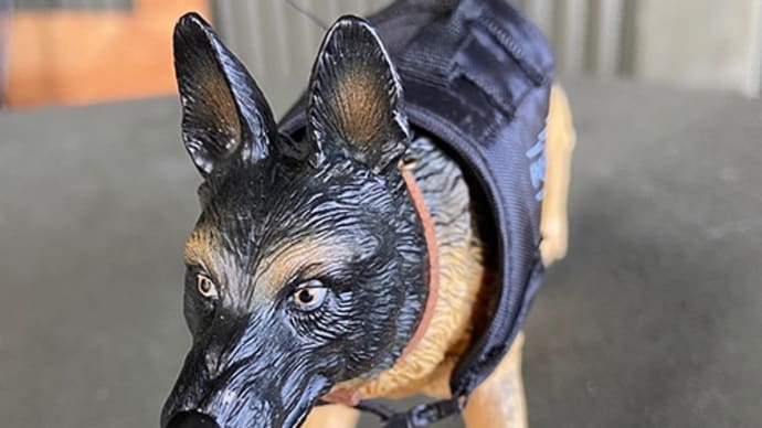 災害救助犬 ジョンのちょっといい話 ⓵