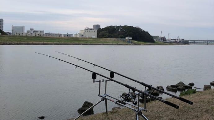 3月4日の鯉釣り