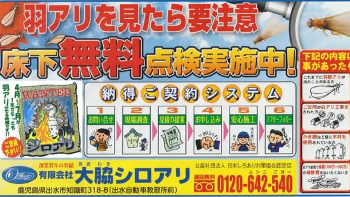 羽アリシーズン到来! 羽蟻を見たら要注意 調査見積無料 出水・阿久根・長島・さつま町 電話0120-642-540