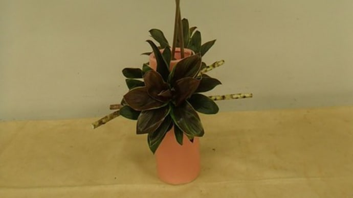 170113 作楽会 いけばな 草月流 50 ガーベラ、分解して再構成する・花器の形を考える