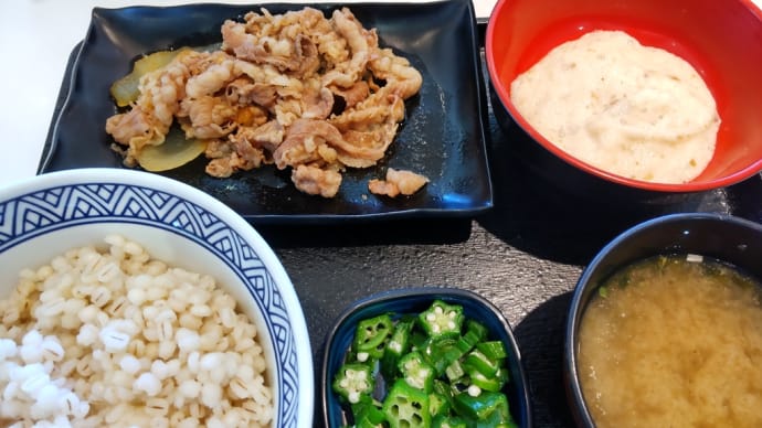 お昼御飯は吉野家の麦とろ牛皿御膳