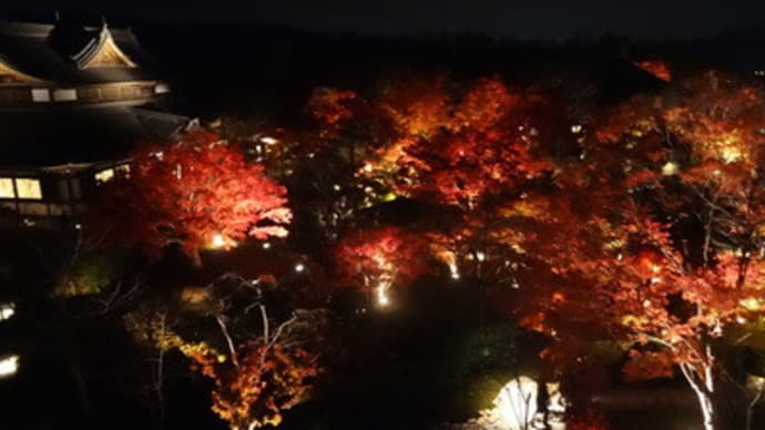 2014年・将軍塚の紅葉　＠　京都妖怪探訪（３８９）