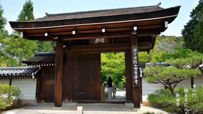 寺の門 開き目に入る 新緑界