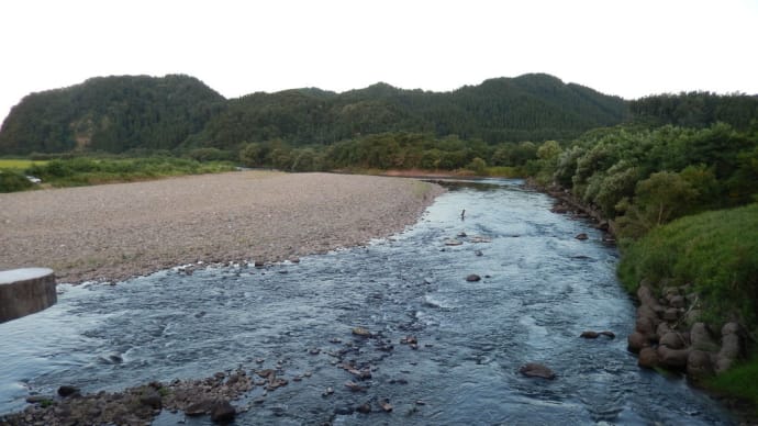 turikiti23鮎釣り情報