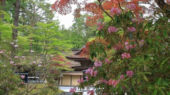 高野町