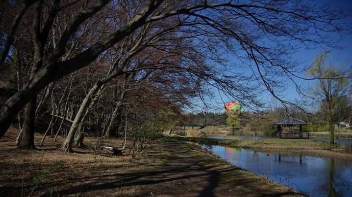 花桃祭りから離脱、鳥の囀りに誘われ・・、記録できず。